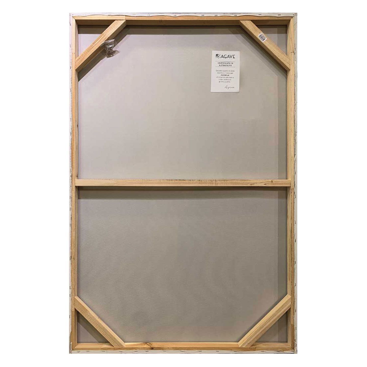 Холст рамки Agave APPEARANCE ARCH-00023777 - Вид №4