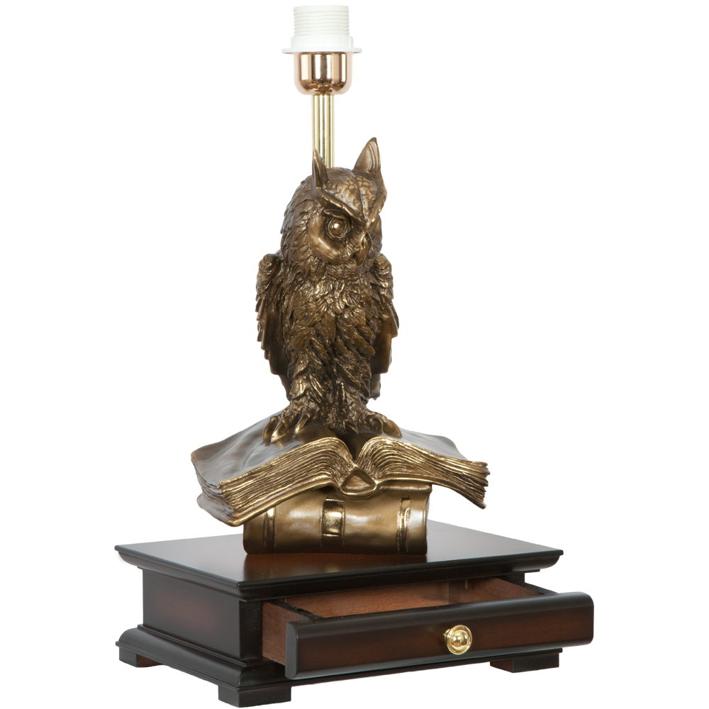 33006/1,34057 Настольная лампа с бюро Ученый Филин Тюссо Игуана Шоколад BOGACHO 4627138211540, 4627138151105 - Вид №4