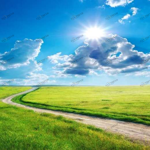 WP02525 Фотообои Verol Фотообои decoline 1х1 м