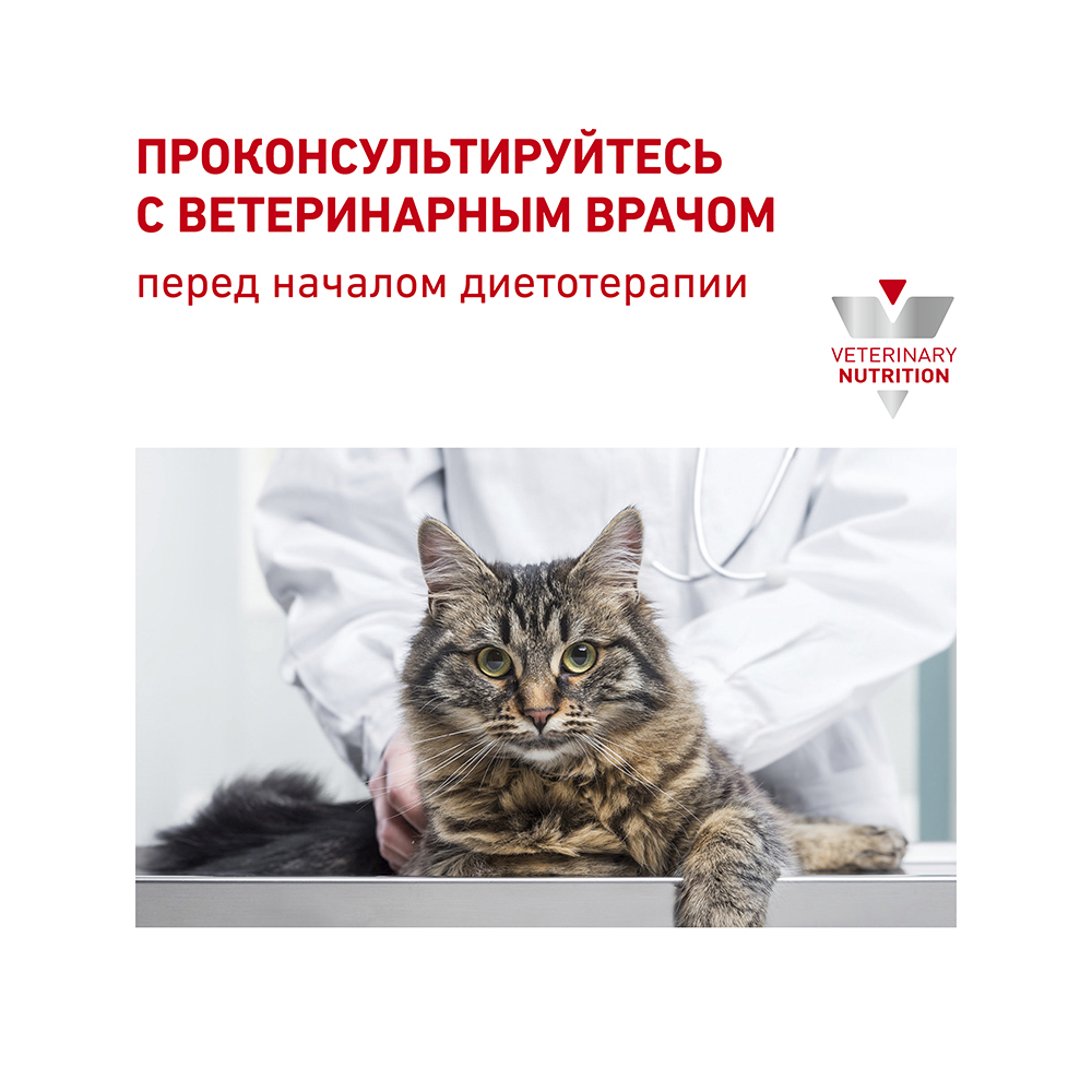 Т0023144 Корм для кошек Vet Diet Hypoallergenic DR25 при пищевой непереносимости, птица сух. 2,5кг ROYAL CANIN  - Вид №8
