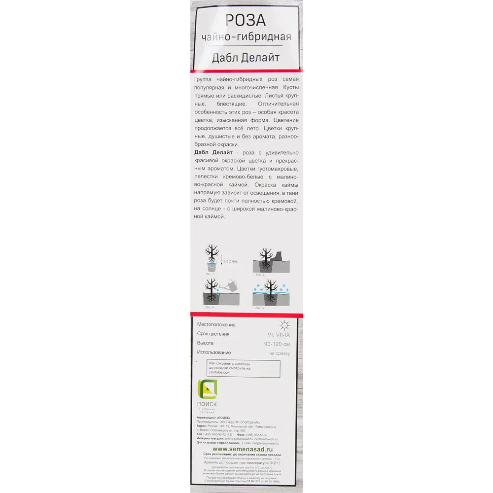 Розы чайно-гибридные «Дабл Делайт» 18346211 STLM-2155660 Santreyd  - Вид №2