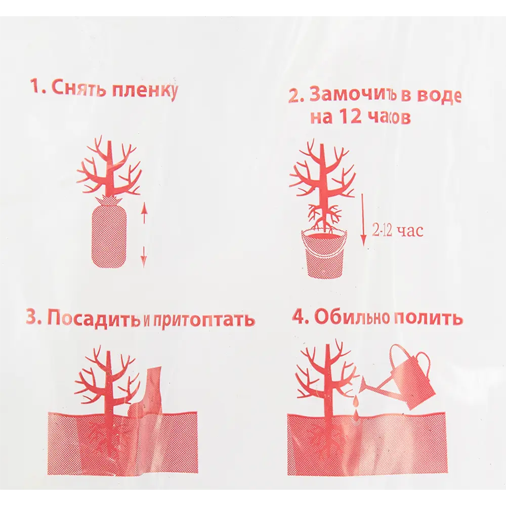 Крыжовник Берилл в пакете Поиск Инвест 82529010 STLM-2050187 Santreyd  - Вид №2