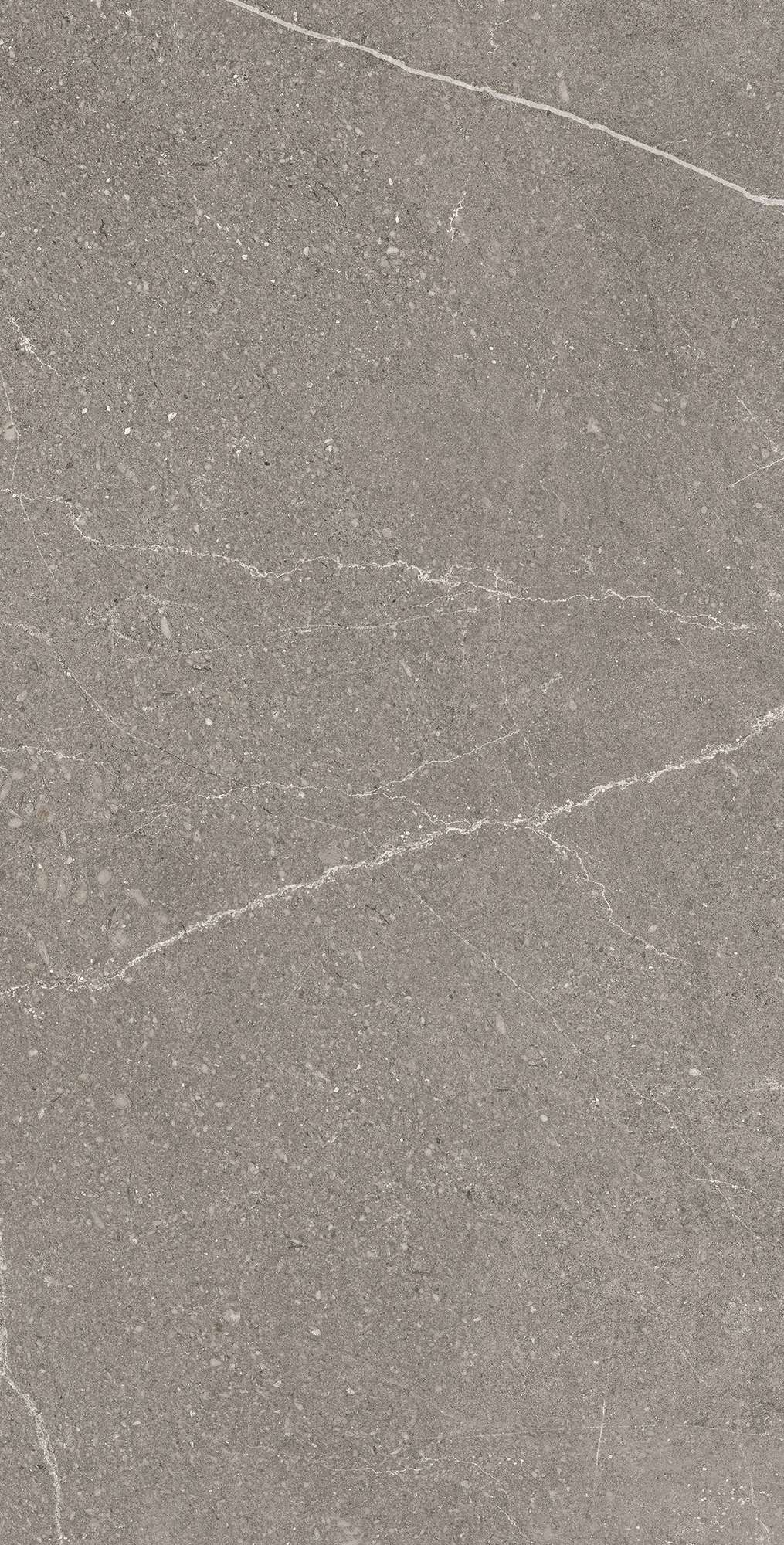 EQUISTONE GRAPHITE ARCADIA CERAMICA RG6002-A - Вид №3