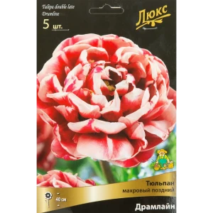 Тюльпан махровый поздний Драмлайн Люкс, 5 шт 85205615 STLM-2141160
