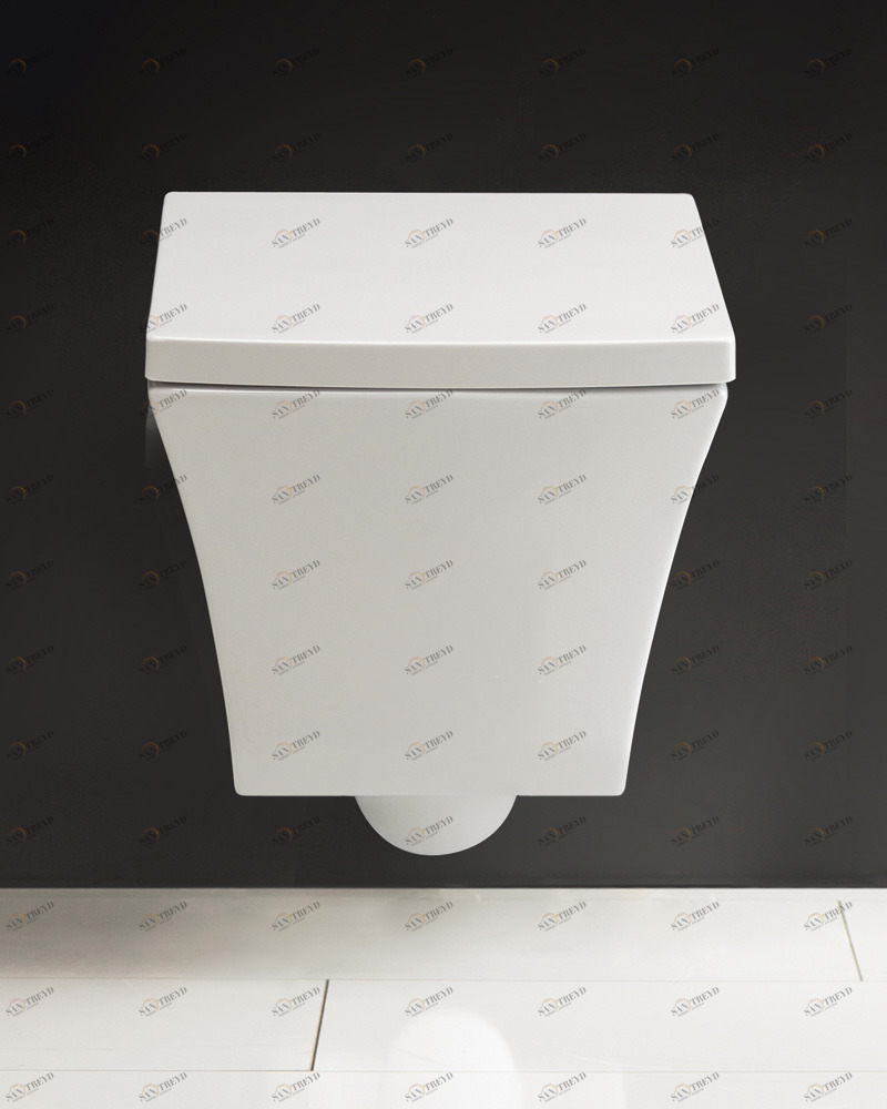 Унитаз подвесной безободковый BelBagno REGINA Подвесной унитаз настенный Белый BELBAGNO REGINA Китай