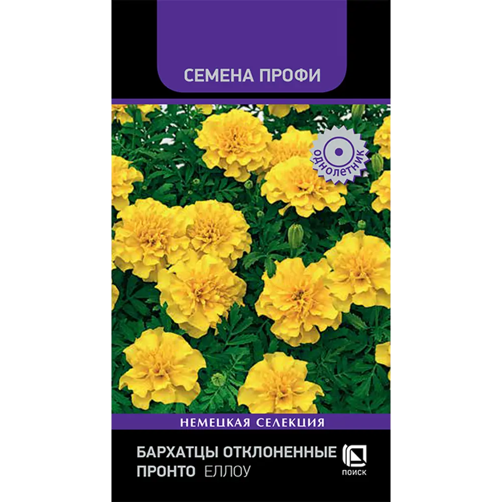 Бархатцы ПОИСК Пацифика Оранж - яркие махровые соцветия для сада 89401251 STLM-1563908