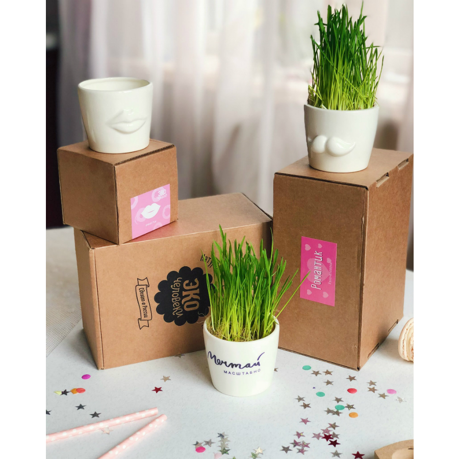 Набор для выращивания Eco мини-кашпо «Губы» ЭКОЧЕЛОВЕКИ MIN101 - Вид №6