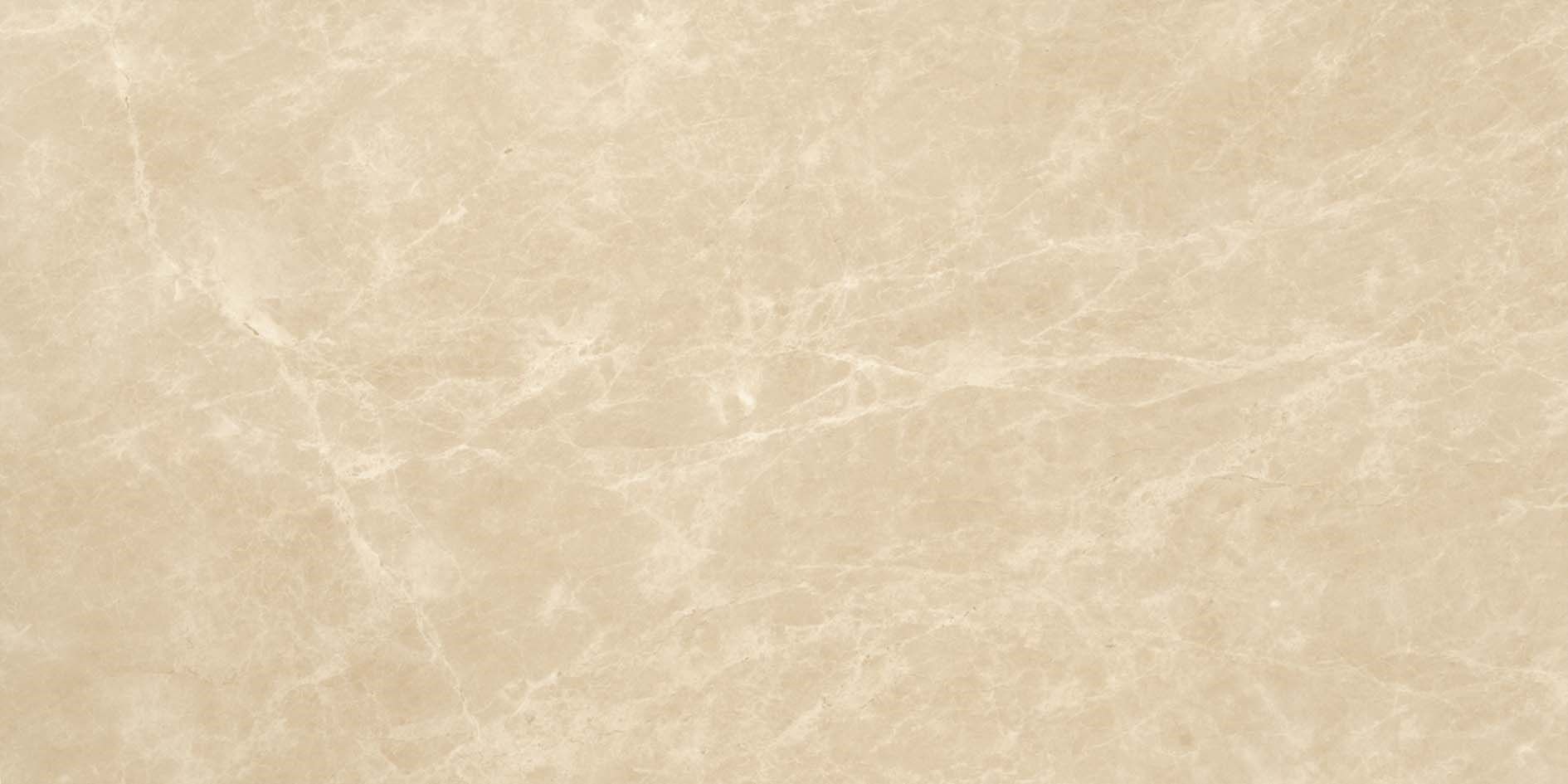 Белое керамическое покрытие с эффектом мрамора Atlas Concorde Marvel Edge ARCH-00064701 - Вид №26