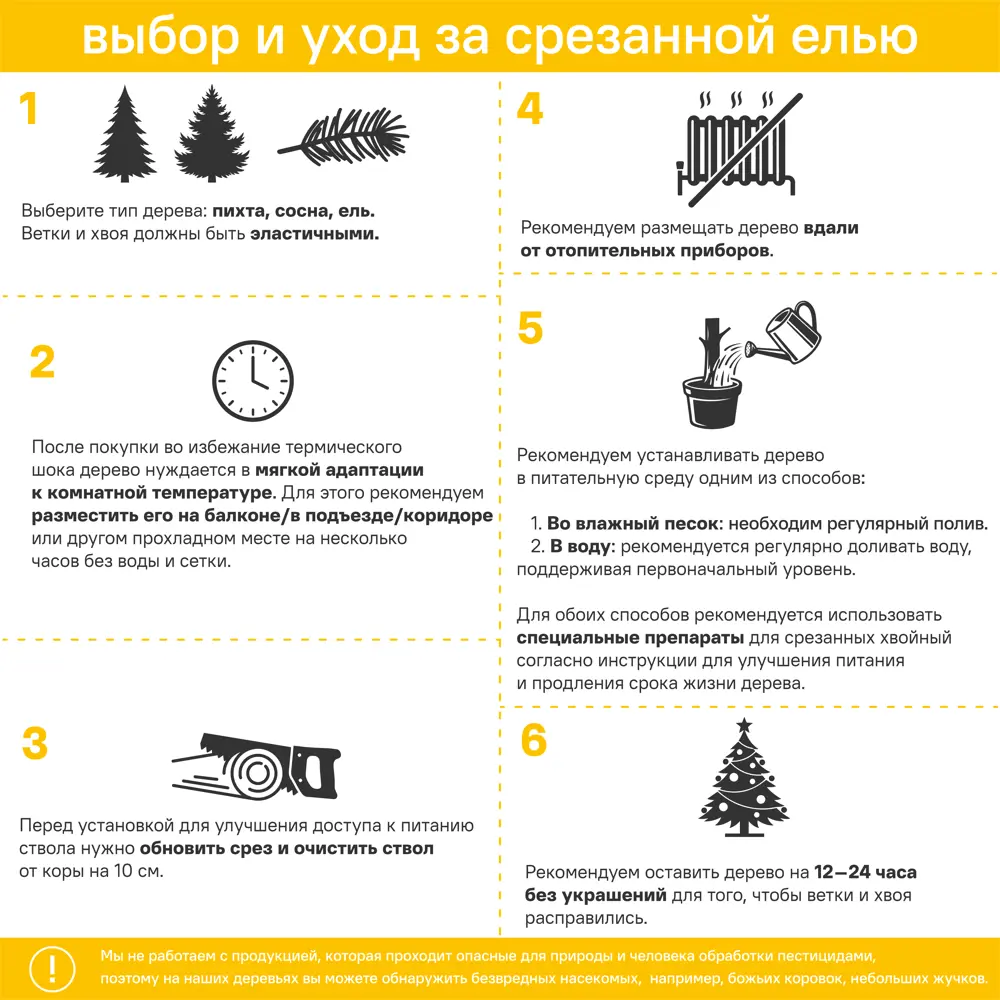 Пихта Фразера h175-200 см 89341923 STLM-2020264 Santreyd  - Вид №4