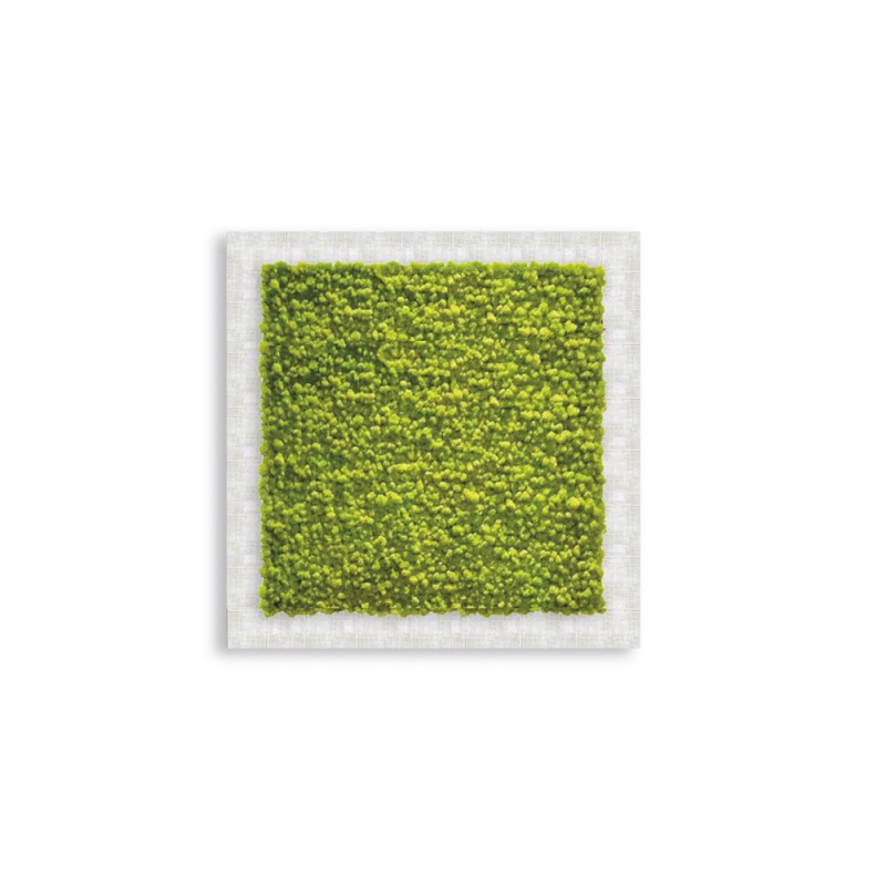 VQU007/1 Рамка для фото Pialla Lichen Adriani e Rossi 