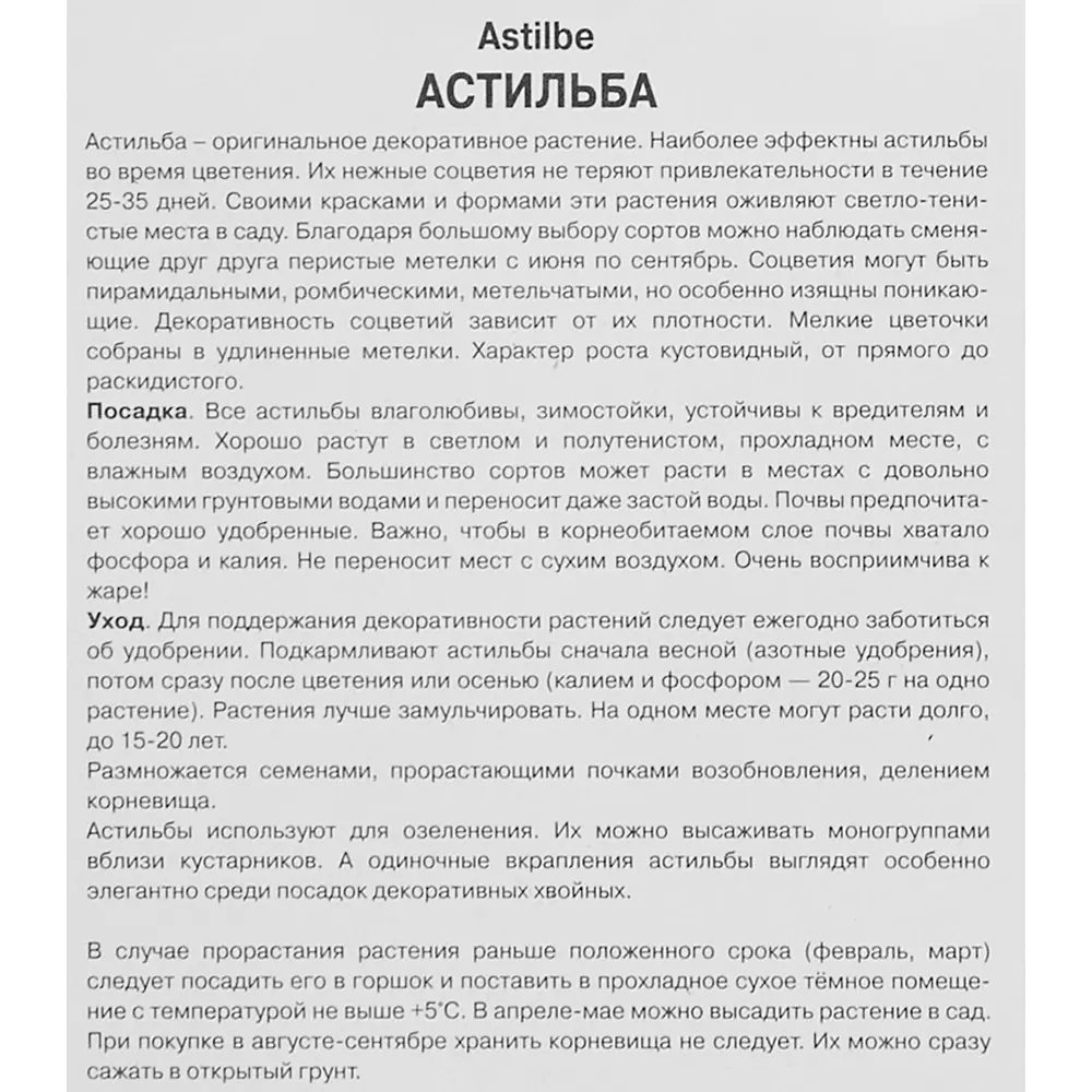 Астильба «Арендса», с капером микс 17536119 STLM-2026105 Santreyd  - Вид №4