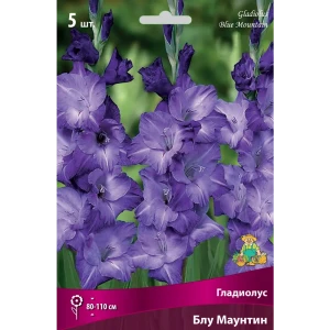 Гладиолус крупноцветковый «Блу Маунтин» 82530153 STLM-2090560