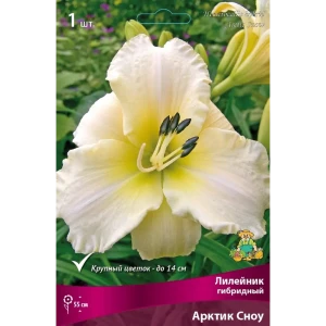 Лилейник гибридный Арктик Сноу луковица I 83597561 STLM-2023899