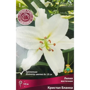 Лилия восточная Кристал Бланка 1 шт. 83588541 STLM-2114910