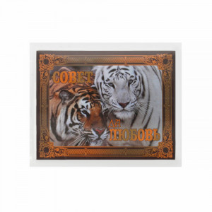 38.126.01 Наклейка на бутылку №01 9.5 x 12 см 20 шт. Совет да любовь