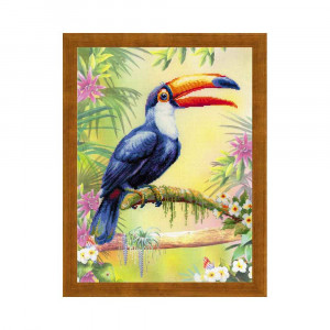 0077 РТ Набор для вышивания Тукан 40 х 30 см RIOLIS Частичная вышивка