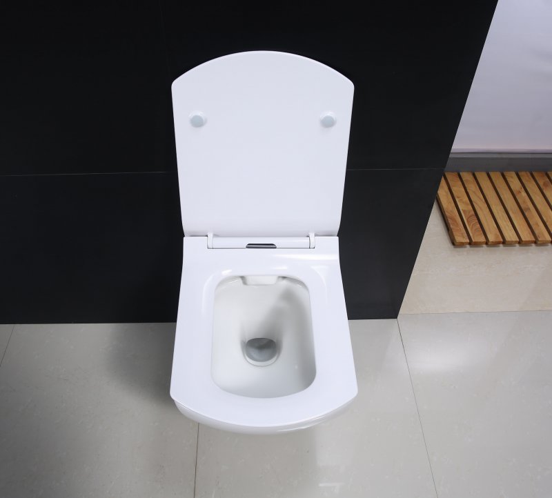 Унитаз подвесной BelBagno CARINA безободковый Подвесной унитаз настенный Белый BELBAGNO CARINA Китай - Вид №1