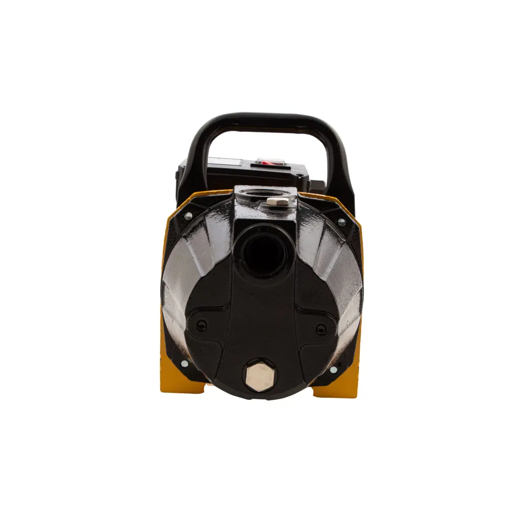 Насос садовый поверхностный Denzel GP1100C 4500 л/час STLM-2198921 - Вид №2