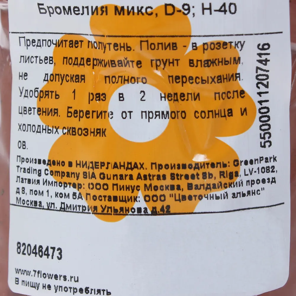 Бромелия микс ø9 h40 см 82046473 STLM-2092608 Santreyd  - Вид №2