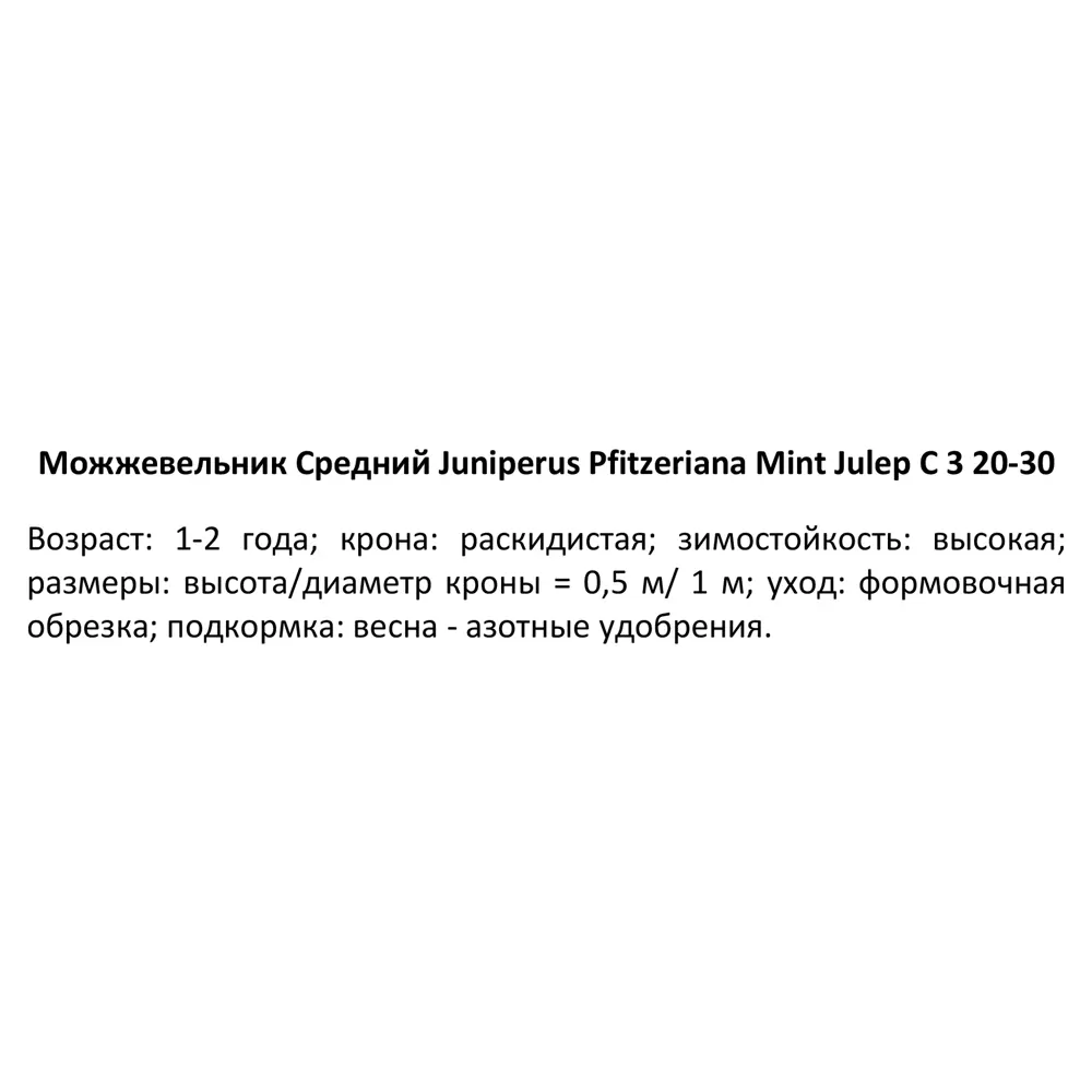 Можжевельник средний Минт Джулеп ø19 h20-30 см 85440393 STLM-2200001 PLANTMARKET  - Вид №2