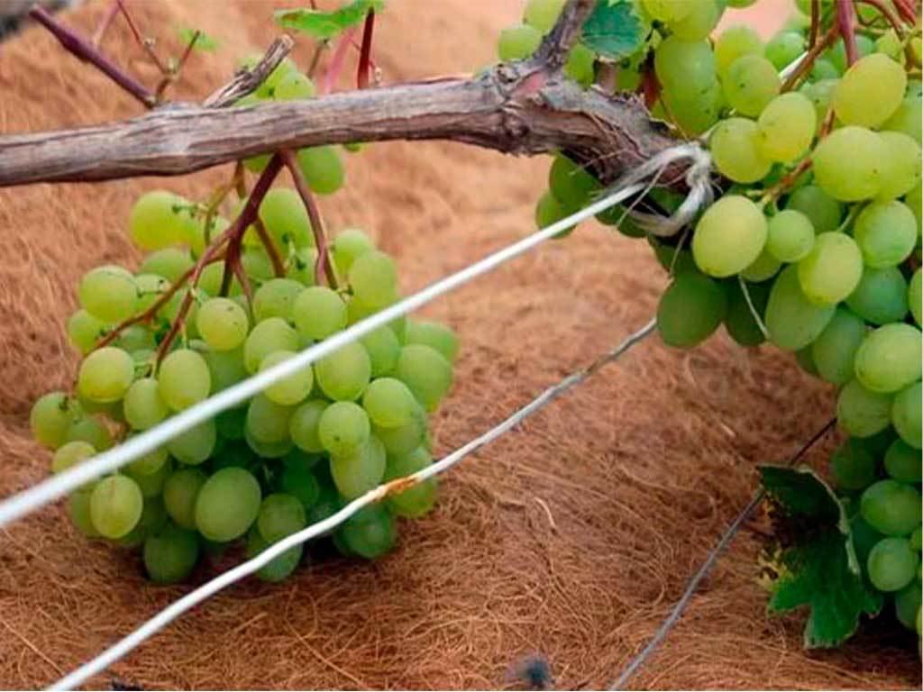 Мульча кокосовая Мульчаграм 0,75x6 м ГеоПластБорд GPBST-237 - Вид №12