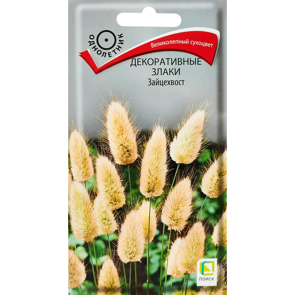 Семена цветов Поиск декоративные Злаки Зайцехвост STLM-2077749