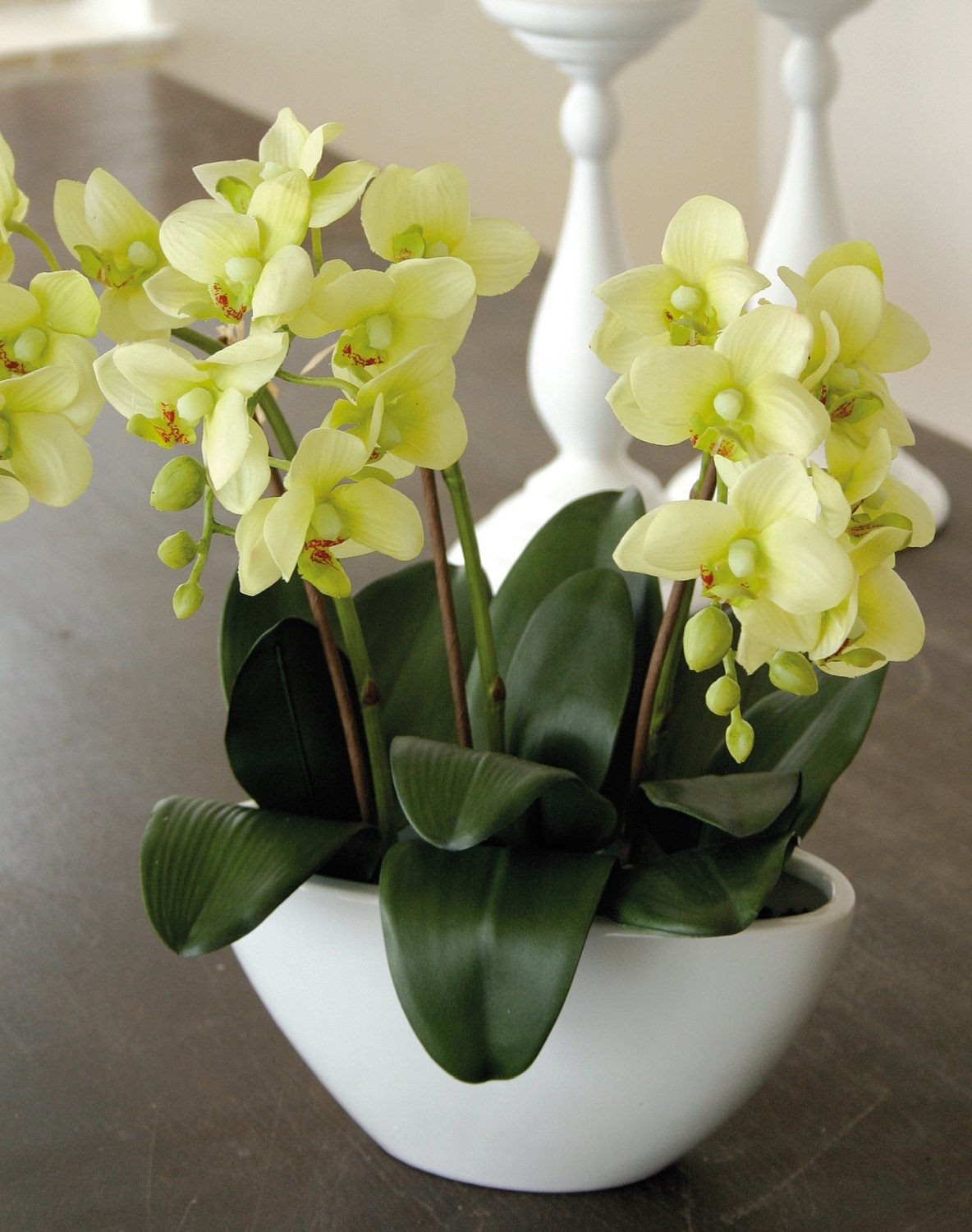 2609 788 a3 Искусственная орхидея Фаленопсис, кремово-зеленая H-andreas  - Вид №3