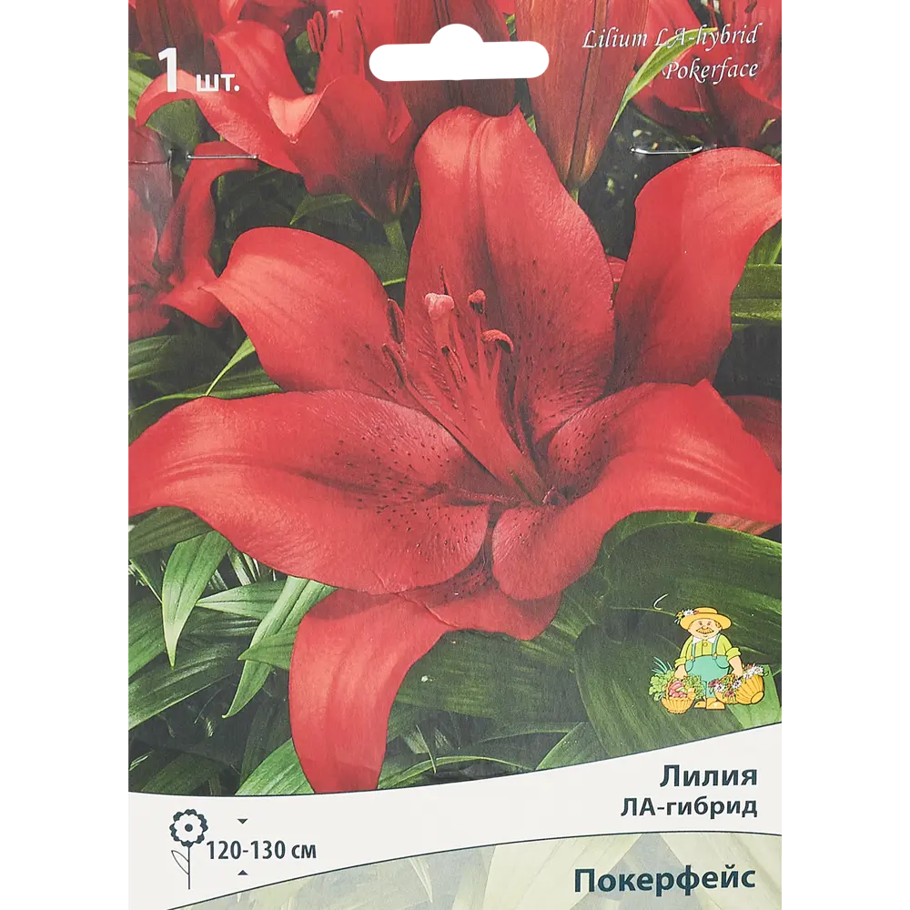 Лилия ЛА-гибрид Покерфейс 1 шт. 83588523 STLM-2168322 Santreyd 