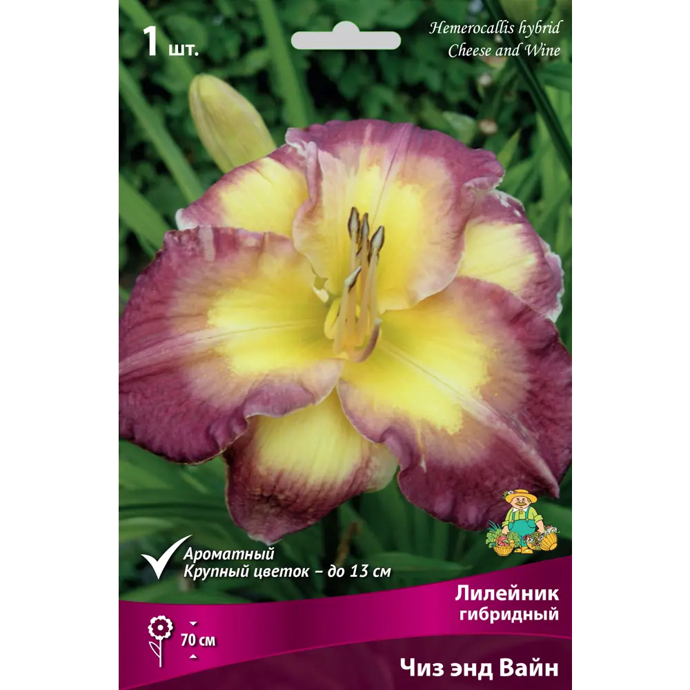 Лилейник гибридный «Чиз энд Вайн» 82530547 STLM-2118275 Santreyd 