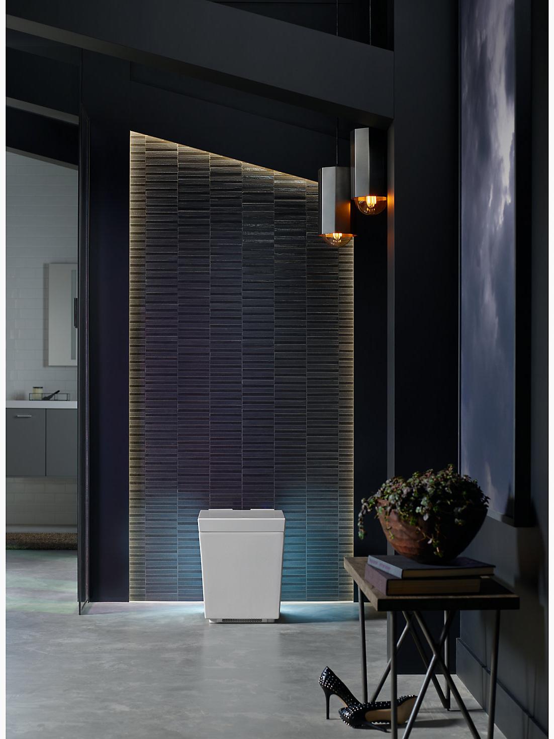 KOHLER  K-3901-NSR-0  - Вид №2