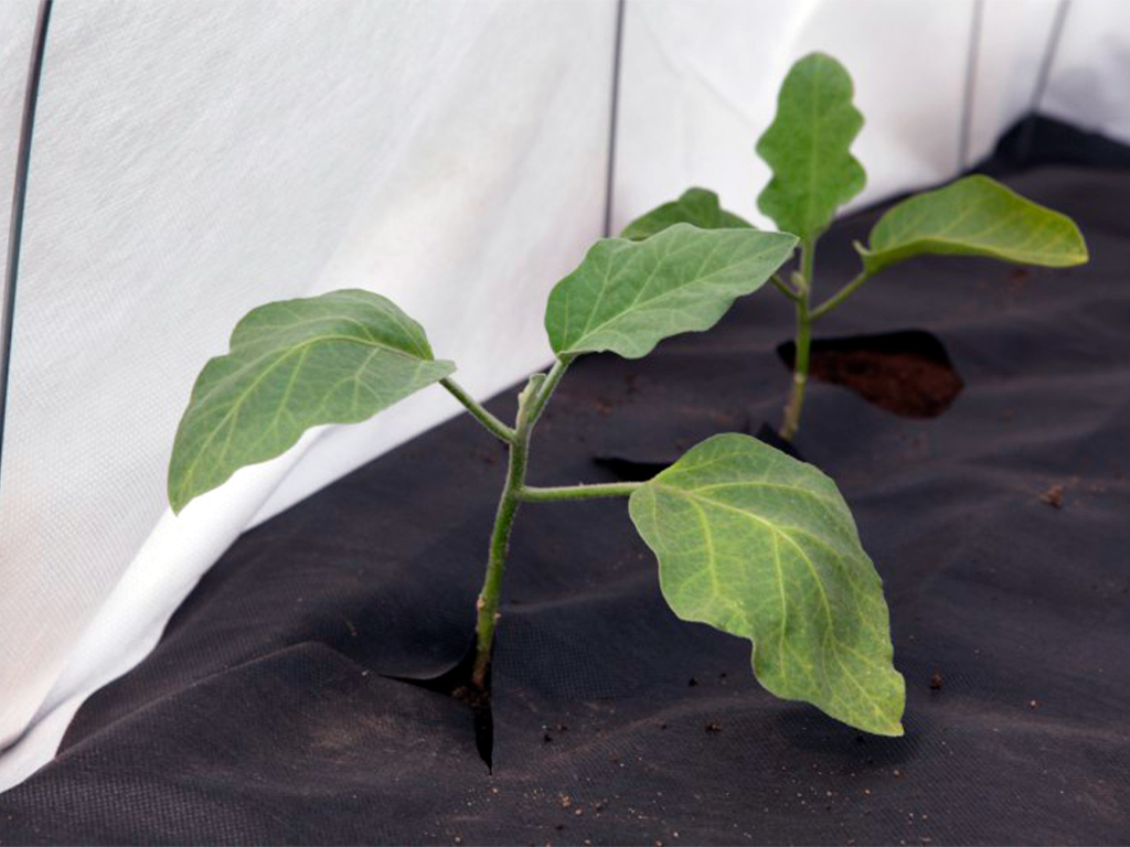 Спанбонд чёрный СУФ 60, 3,2*10 м ГеоПластБорд GPBST-121 - Вид №1