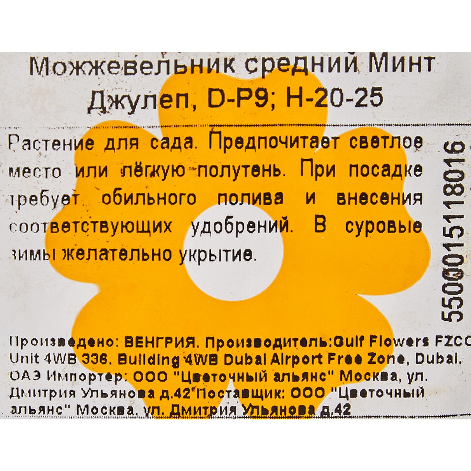 82601664 Можжевельник «Минт Джулеп» 9x20 см Santreyd  - Вид №1