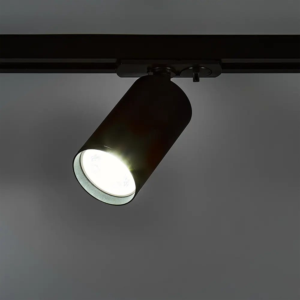 Arte Lamp Flame — трековый светильник с поворотным плафоном 86395537 STLM-0068528 - Вид №2