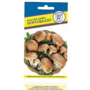 Семена Портобелло