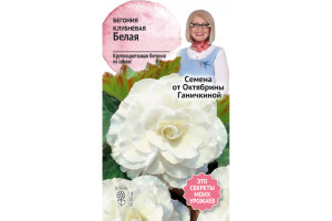 19489260 Семена Бегония клубневая Белая 6 шт. 118852 ОКТЯБРИНА ГАНИЧКИНА