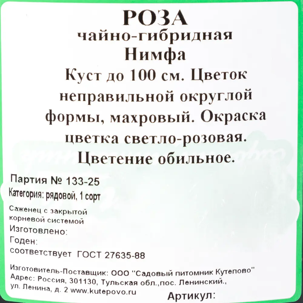 Роза чайно-гибридная «Нимфа» С4 82237690 STLM-2151772 Santreyd 