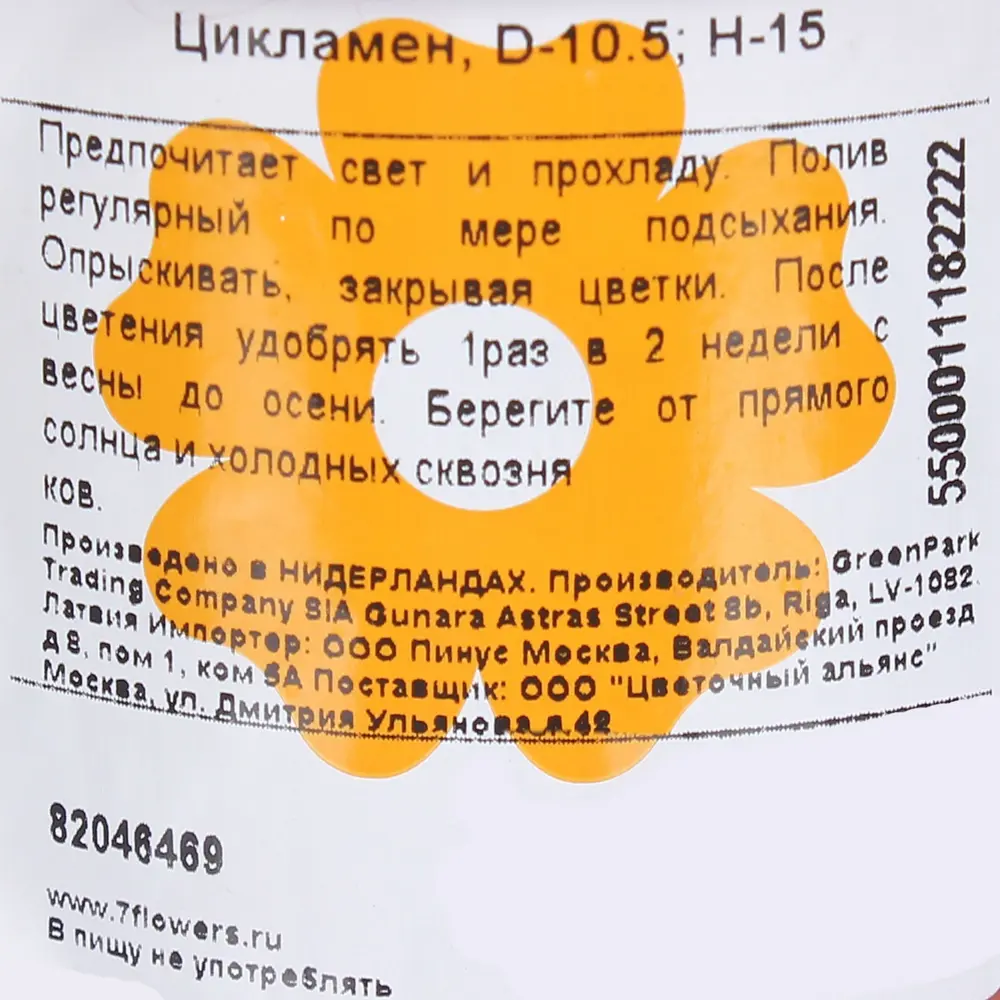 Цикламен ø10.5 h15 см 82046469 STLM-2041732 Santreyd  - Вид №2