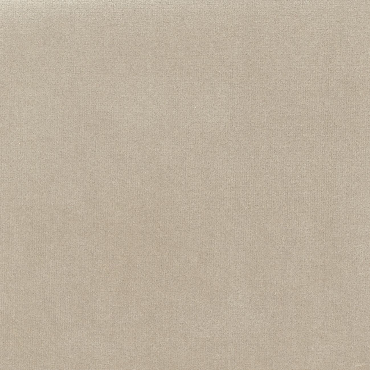 Бархатная однотонная ткань Élitis Palatine ARCH-00143253 - Вид №12