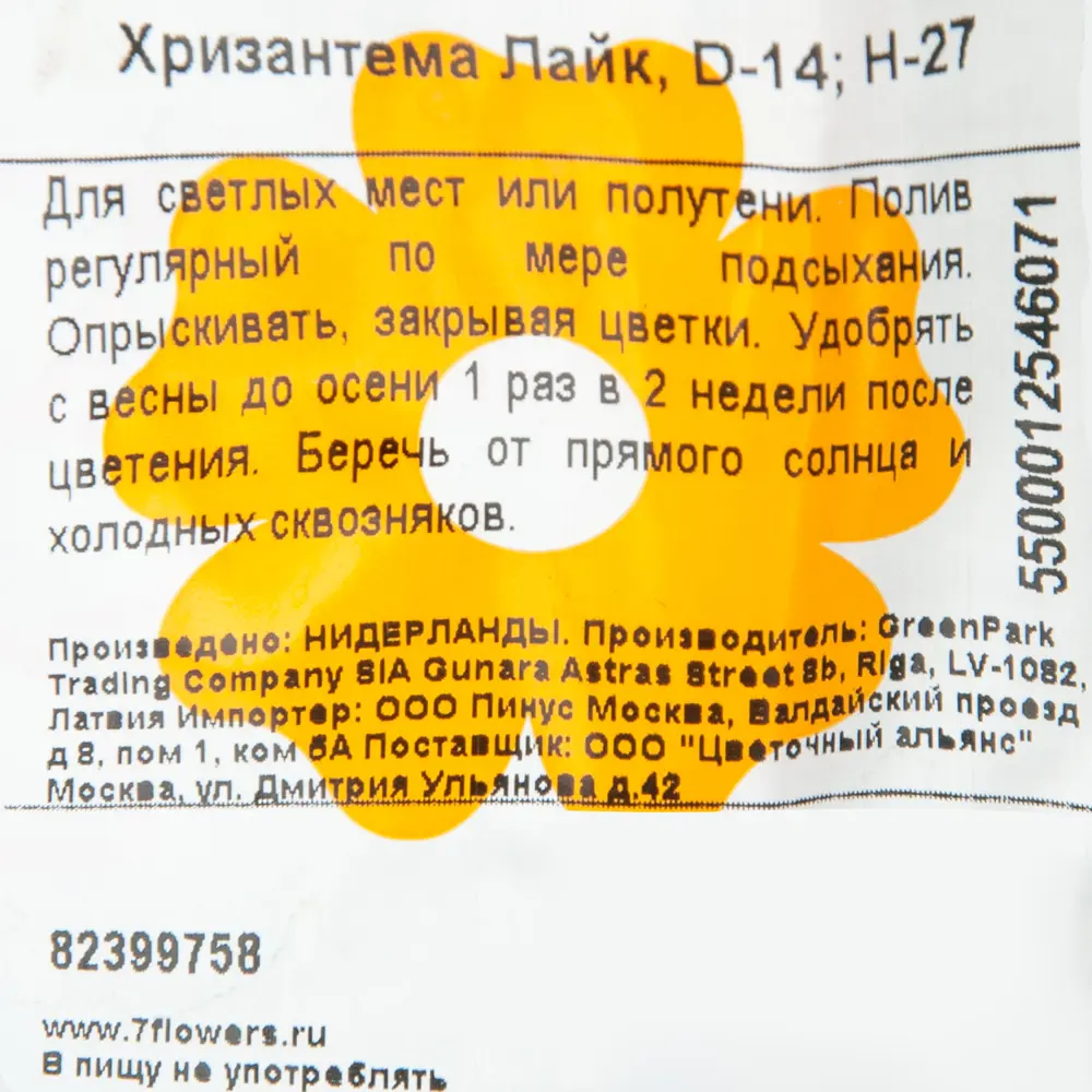 Хризантема Лайк 14x27 см 82399758 STLM-2087781 Santreyd  - Вид №2