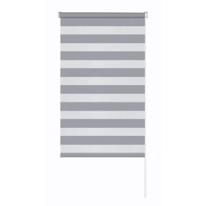 Рулонная штора день-ночь MIAMOZA Петер 100x160 см серая 89411354