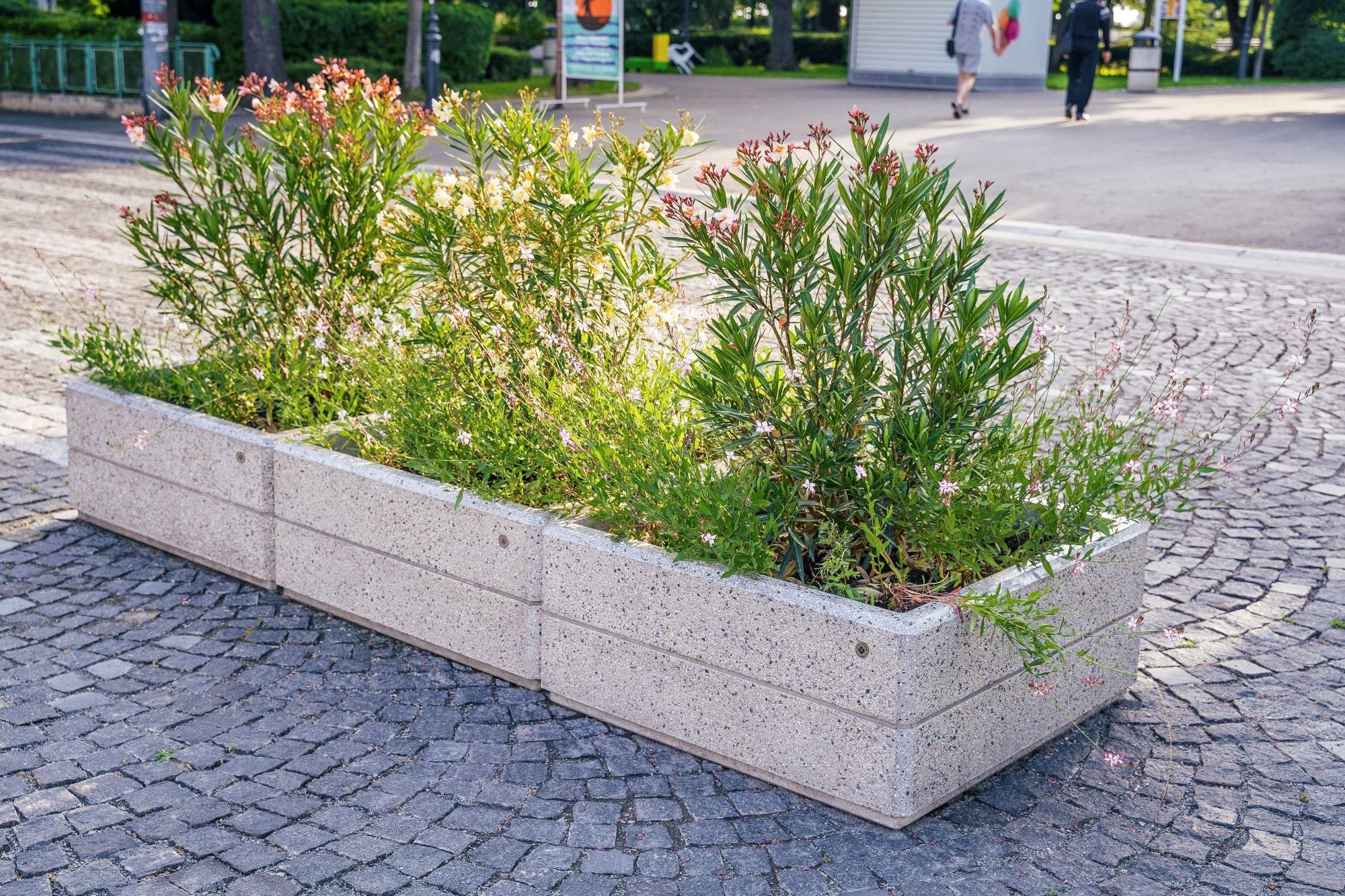 Бетонная квадратная плантатор ENCHO ENCHEV - ETE 214 ARCH-00152474 - Вид №1