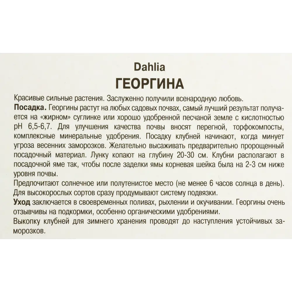 Георгины декоративные «Арабиан Найт», 1 шт. 82118669 STLM-2199452 ПОИСК  - Вид №2
