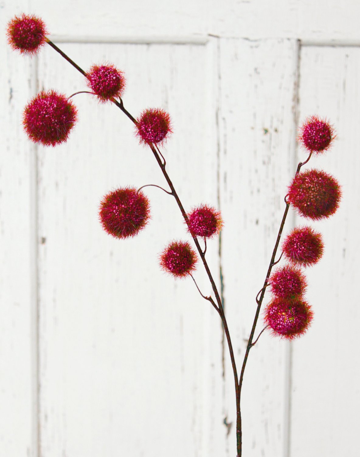 5535 442 a3 Искусственный спрей из фруктов гомфокарпус, 103 см, бордовый H-andreas 