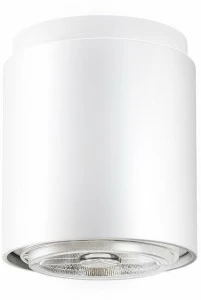 NEMO Потолочный светильник из алюминия с порошковым покрытием