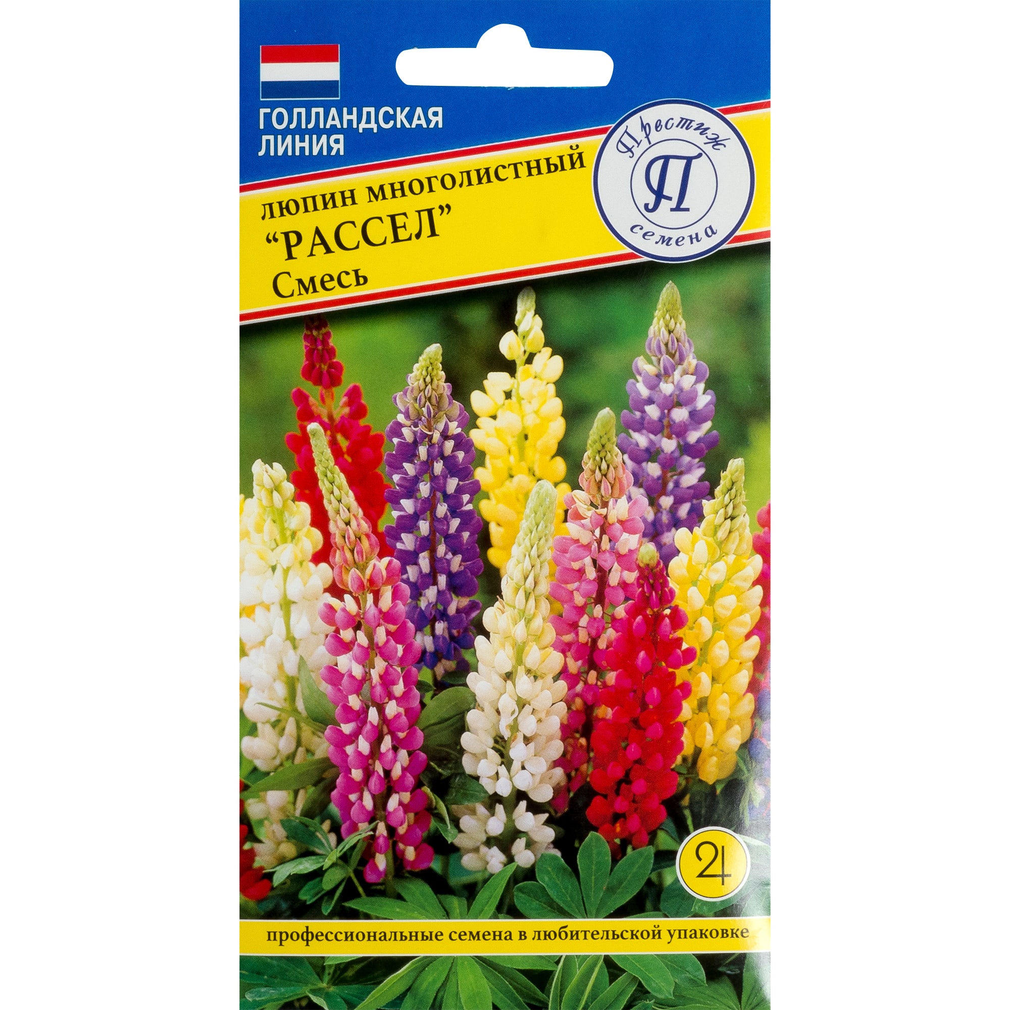 82107741 Люпин многолистный «Рассел» смесь окрасок Santreyd 