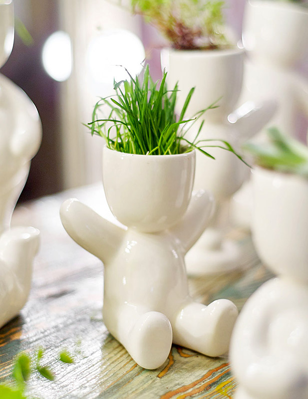 Набор для выращивания Eco Малыш ЭКОЧЕЛОВЕКИ 1002 - Вид №3