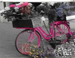 521736 Папка на молнии "Bike" A4 Panta Plast