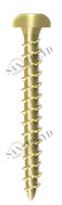 Винт TM 02 60 050 TM02 Tecfi 6 х 50 