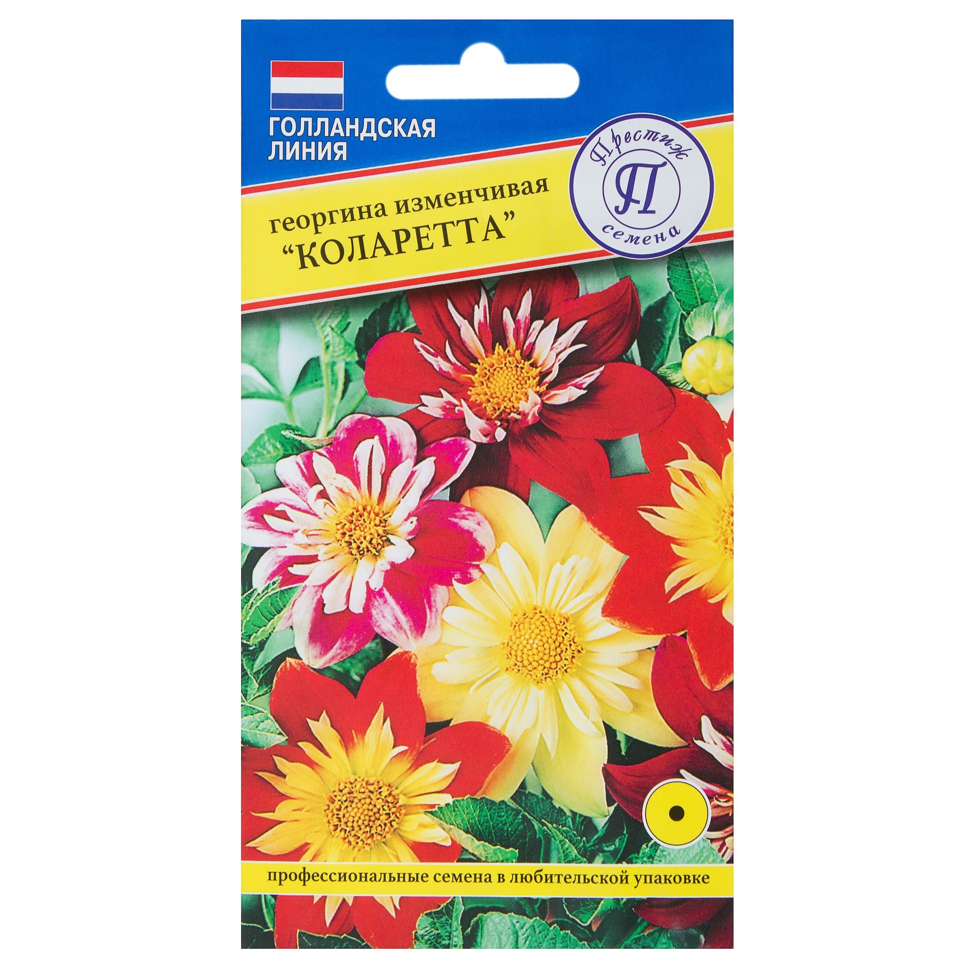 13894592 Георгина изменчивая «Коларетта» Santreyd 