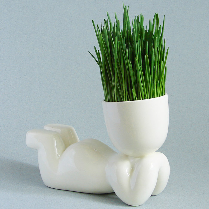 Набор для выращивания eco "Мечтатель" ЭКОЧЕЛОВЕКИ  254576 Белый  - Вид №6